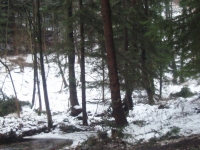 PC160347